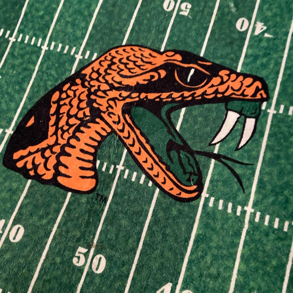 FAMU RATTLERS FOOTBALL RUG 70” x 30” - Picture 2 of 4